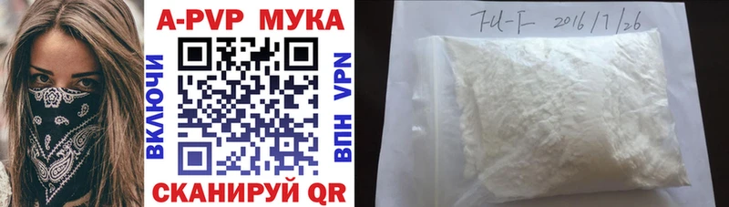 купить наркотики цена  KRAKEN ONION  A-PVP СК  Магас 